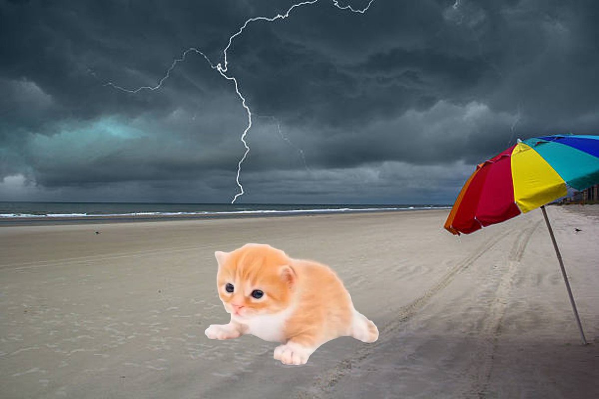 BenCryptoShow's tweet image. $GARY waiting till the rain storm passes so he can catch some Sun-day rays ☀️ 🏖️