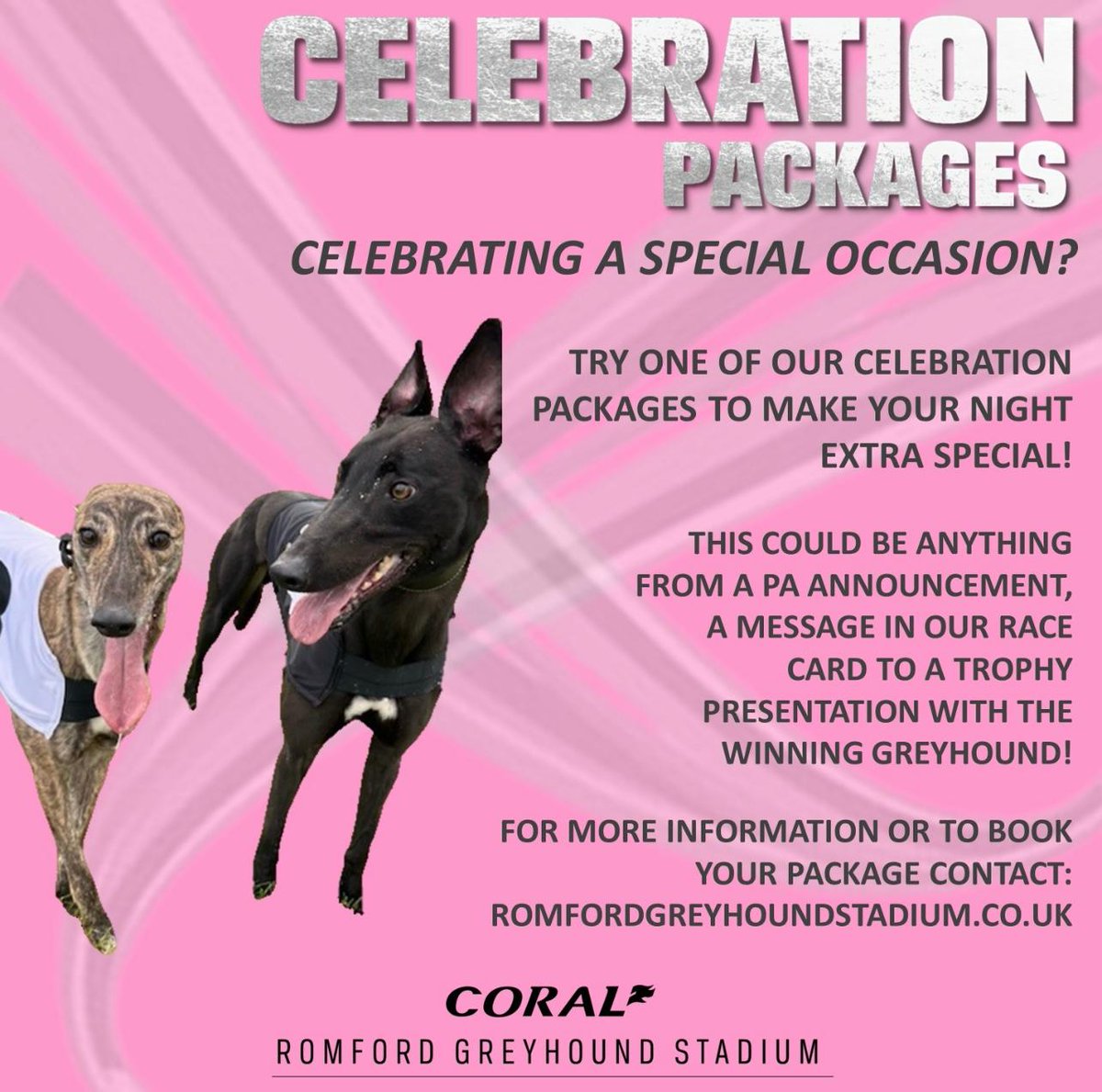 RomfordDogs's tweet image. Whatever you are celebrating, we can make it special- birthdays,  Anniversaries,  work do&quot;s,  family days out 💕