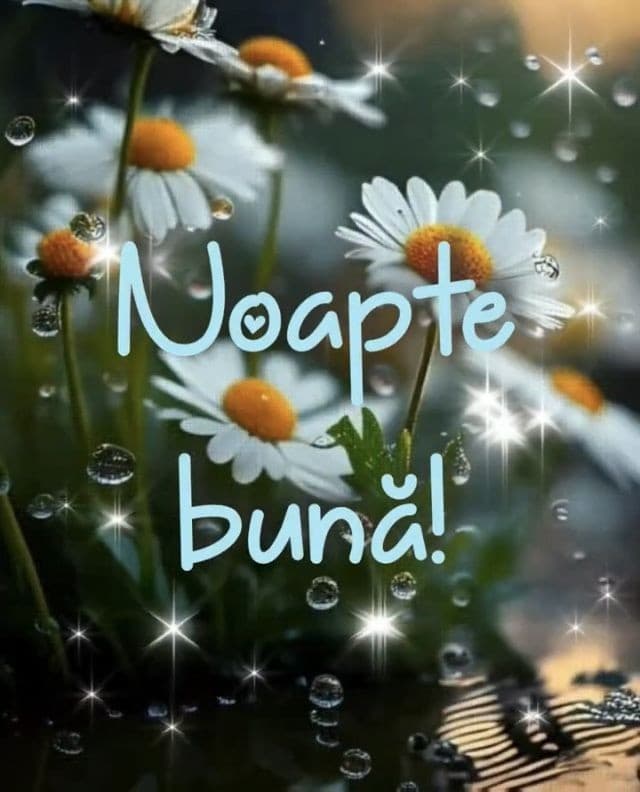 charlet_charlet's tweet image. 