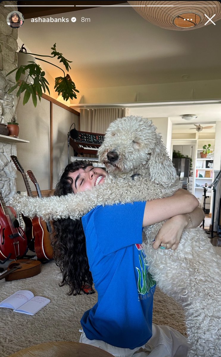 scrawnypercy's tweet image. this cutie dog is in the presence of AB1 😭😭