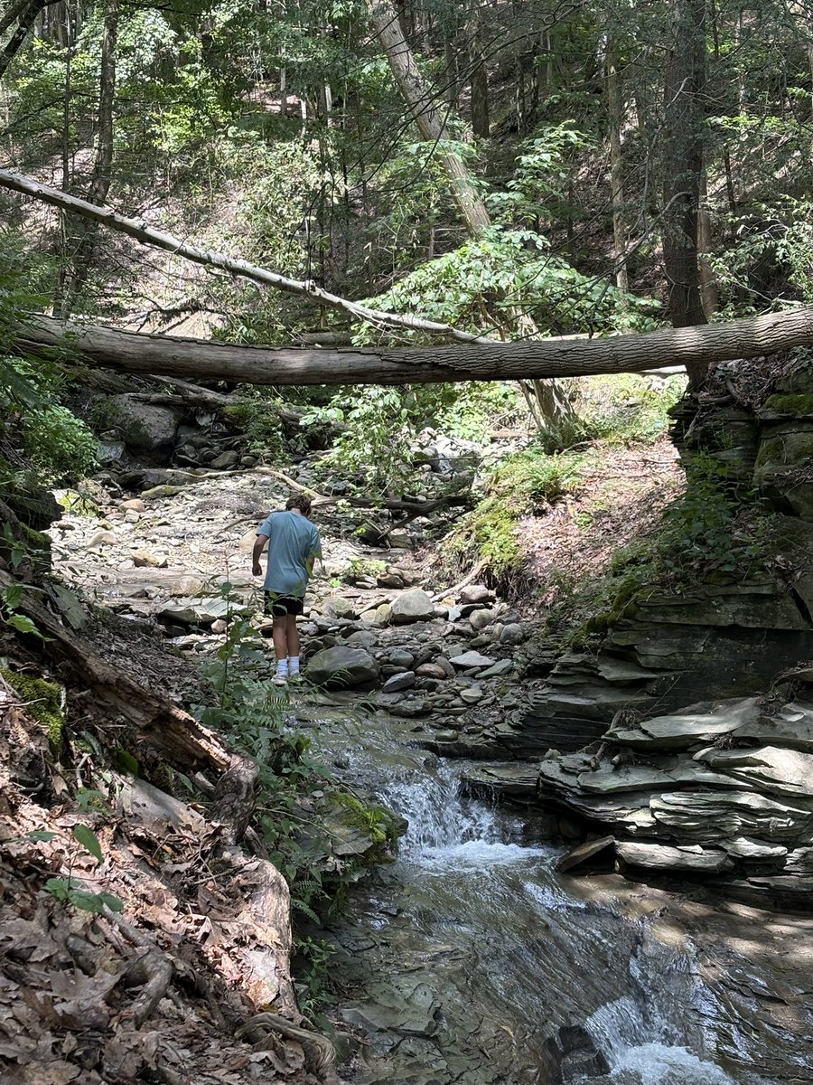 SabresFunStats's tweet image. Letchworth State Park for some hiking this morning