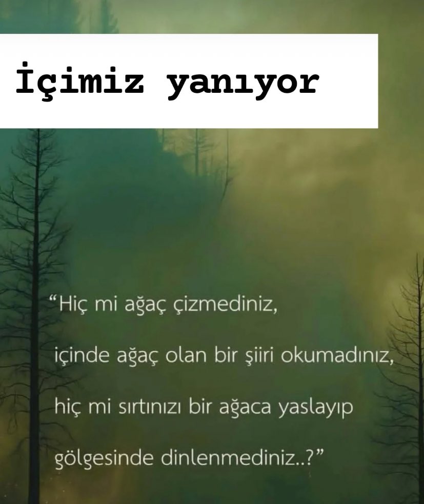 Hiç mi sırtınızı bir ağaca yaslayıp gölgesinde dinlenmediniz? 🥺

#İçimizYanıyor