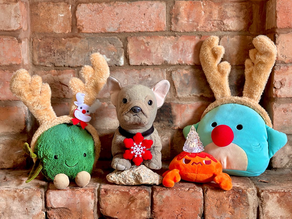 Happy Christmas in July for Joan &amp; Raspberry!! We wish all our friends a great time!
🐕♪🟢♪🩵♪🦀♪🎅♪🦌♪🦌♪🎄
#ChristmasInJuly25  
#ChristmasInJuly #FurryTails