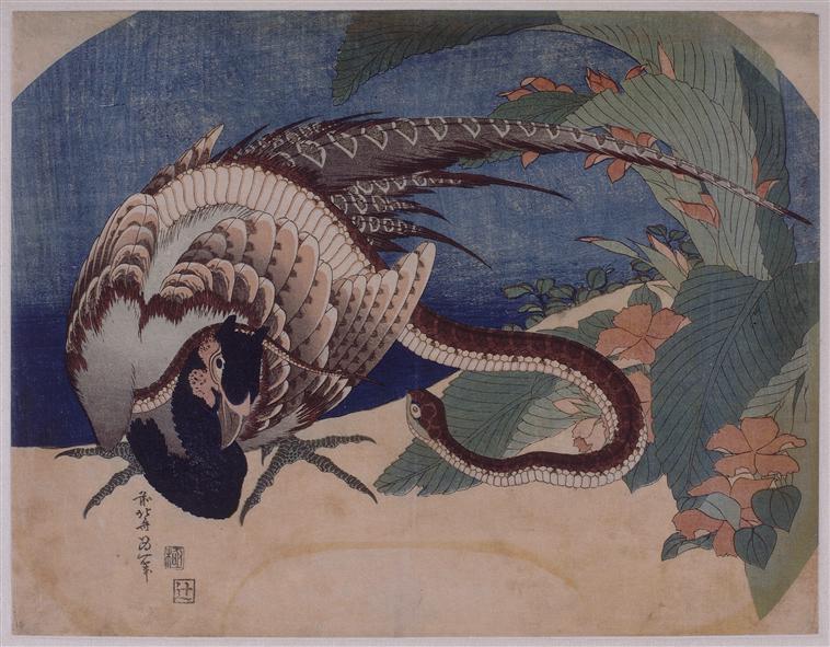 Pheasant and Snake, by Katsushika Hokusai, 1833