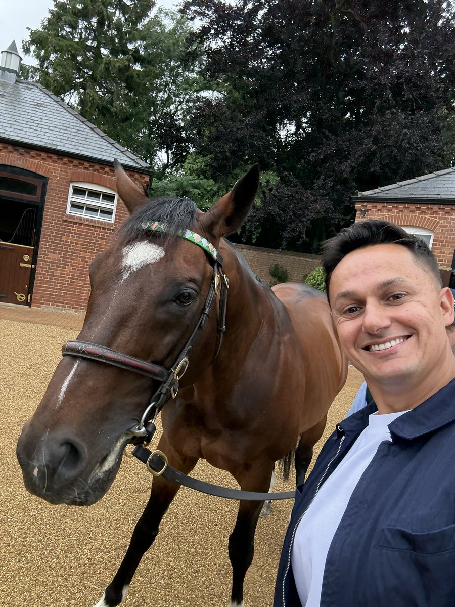THE LEGEND FRANKEL LOOKING AMAZING AT AGE 17!! 😍😍

WHAT A RACEHORSE. WHAT A STALLION. 

CURRENTLY STANDING FOR £350,000.