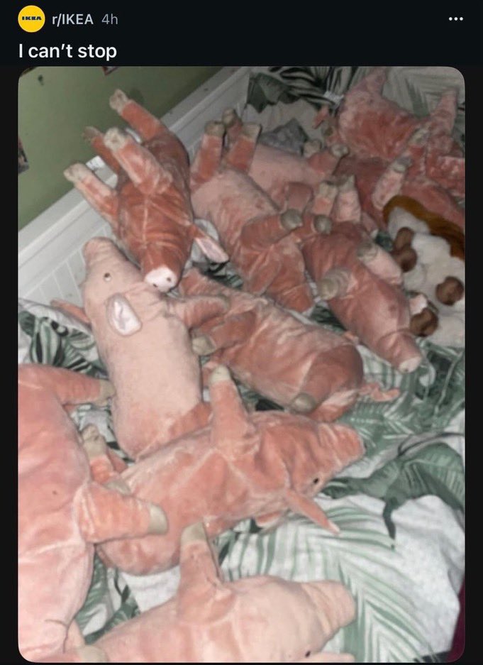 heartfrecklez's tweet image. me with draculaura, g3 frankie and cleo, and cinnamoroll