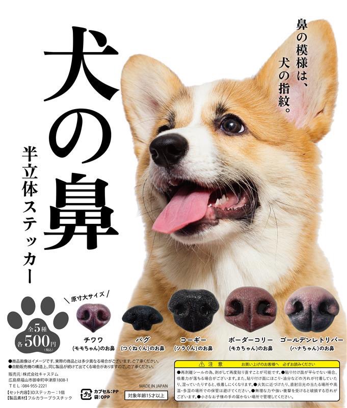 takum_bkk's tweet image. おはメタル🤘
日本はかなりの“犬好き”な国だと思うんですが、どれくらい犬が好きかというと、犬の鼻をガチャにしちゃうくらいです。