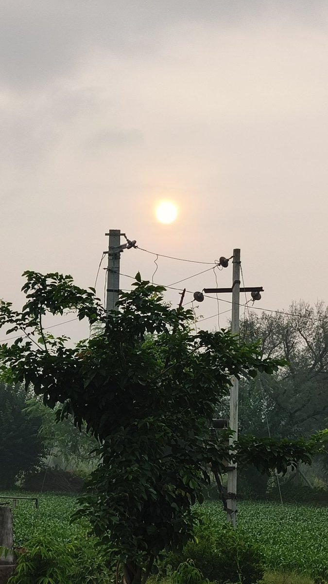 arvindmarag's tweet image. उठो, मुस्कराओ और कहो—आज मेरा दिन है। शुभ प्रभात!
Good Morning 🌄