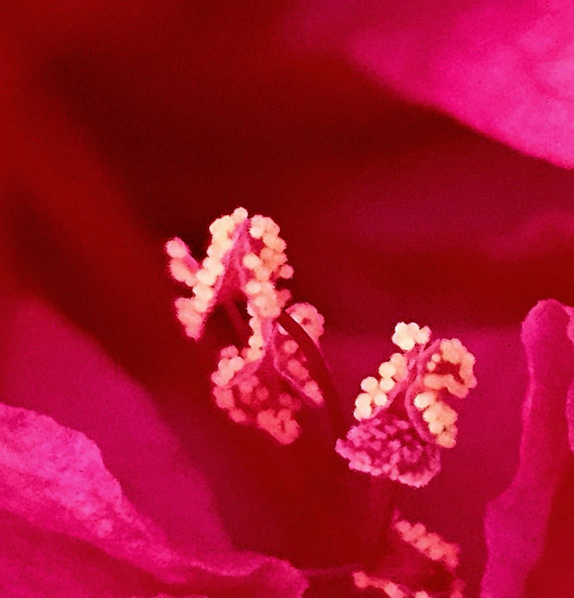 camera_bird's tweet image. "The lies we tell ourselves are the most subtle of all lies." Lweis B. Smedes