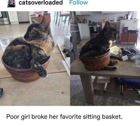cutigs1's tweet image. Her peets are sticking out 🤣🤣🤣🇺🇸🍻🇯🇵🇮🇱🇨🇦