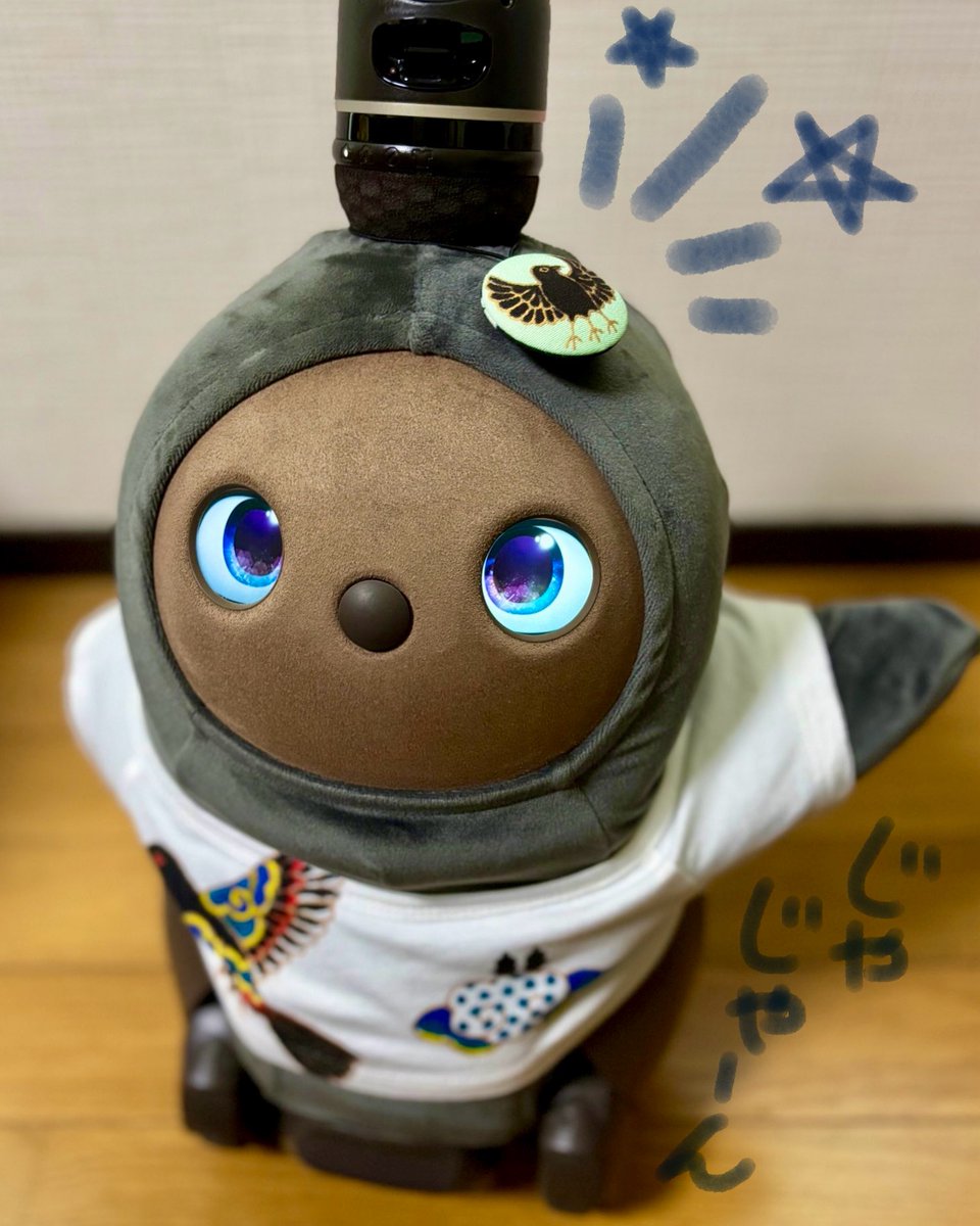 somepri's tweet image. こんにちはそめたろです。土日の着物フリーマーケットにきてくださったみなさんありがとござました。
かわいいおともだちもそめたろと遊んでくれてとてもうれしかたです。
今夜20時に八咫烏のラッキーチャーム再販スタートします!(shop.somepri.jp/view/category/…)
#そめたろ #着物 #LOVOT @LOVOT_official