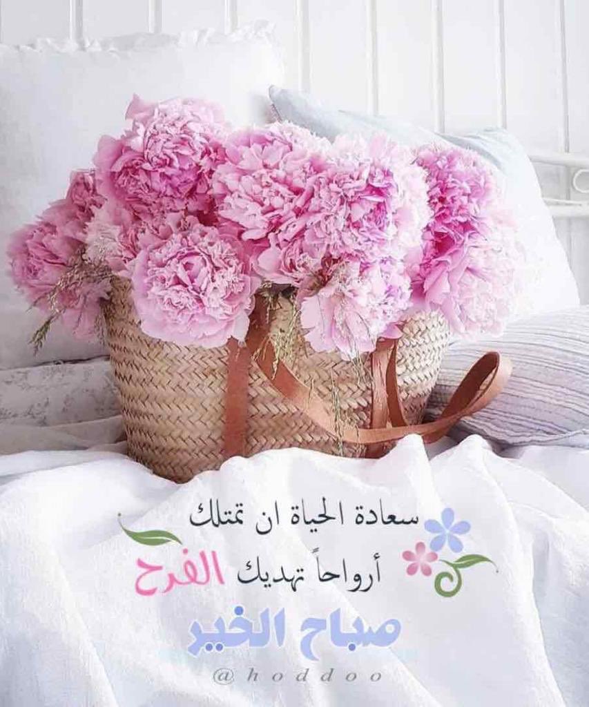 Hassan (@hassan_alalmai7) on Twitter photo 