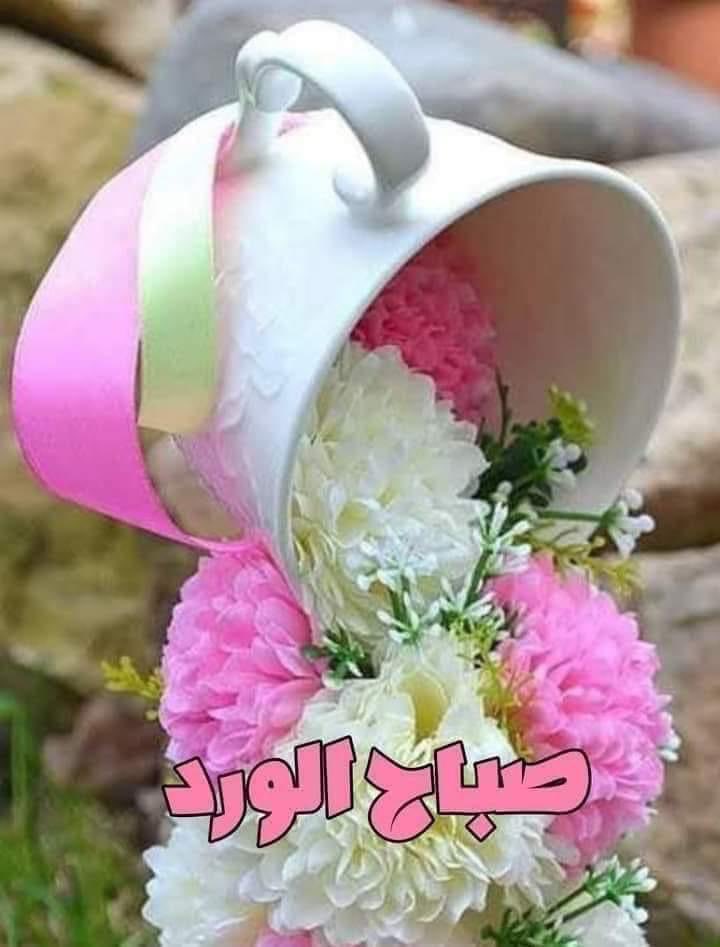 متابعيني