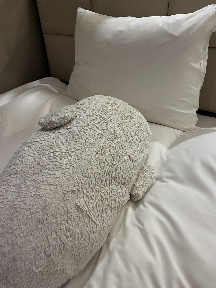 shiro1999tan's tweet image. すごい気持ちよさそうに寝ているたん
#しろたん