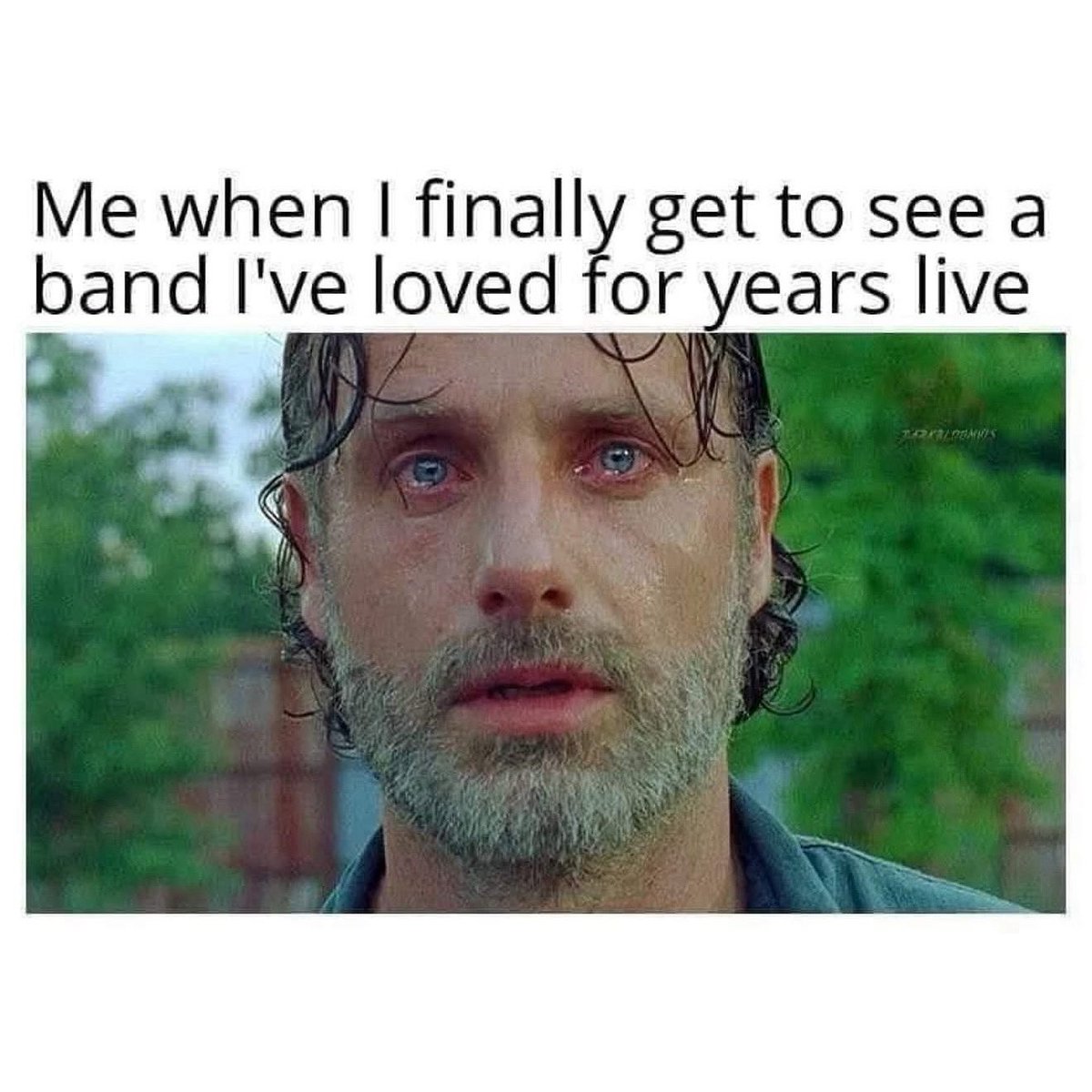 bluntmagus's tweet image. What band are you STILL yet to see, that you’ve always wanted to?