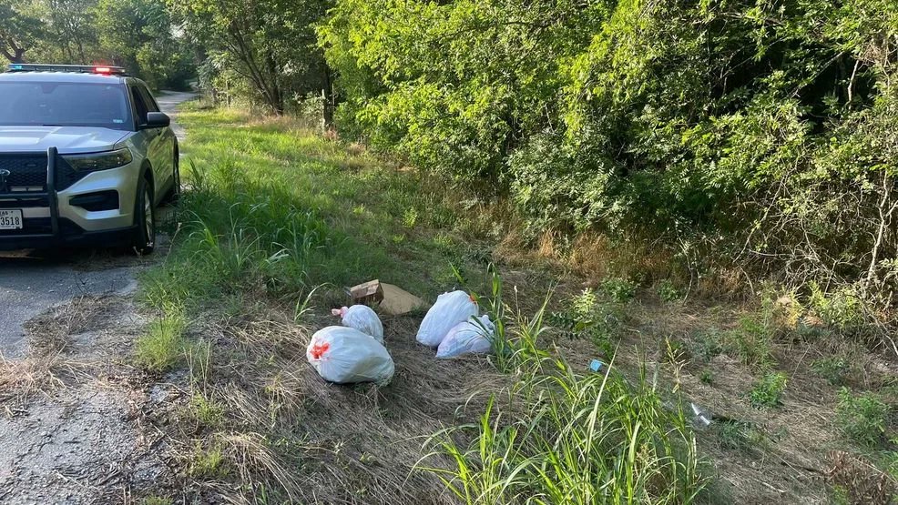 KABBFOX29's tweet image. Caldwell County deputy finds trash bags with animal remains while on patrol.
bit.ly/472O6OZ