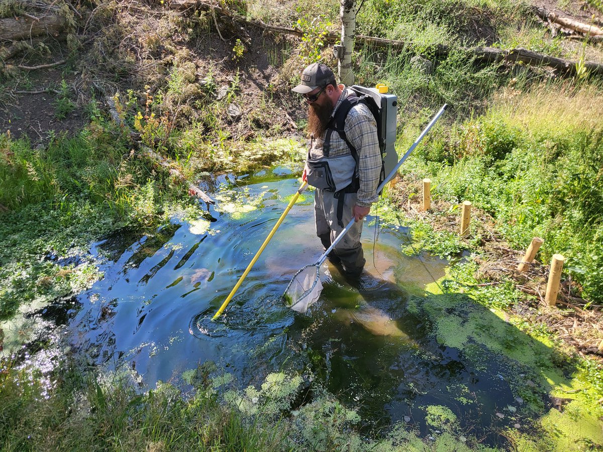 TU Science tweet media