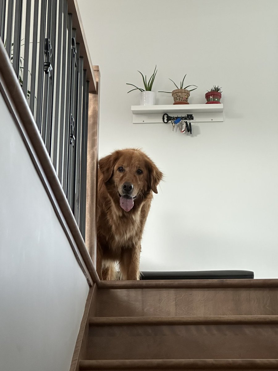 xavleague's tweet image. He can’t use stairs 🙂‍↕️