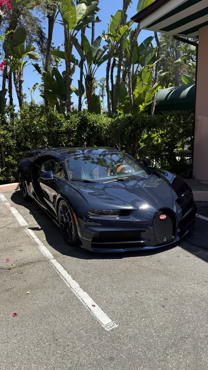 notcamcasey's tweet image. beverly hills hotel for lunch casual