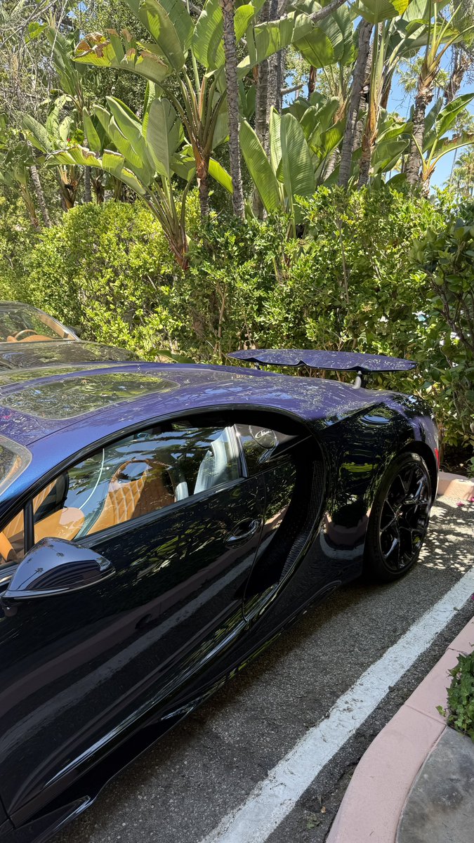 notcamcasey's tweet image. beverly hills hotel for lunch casual