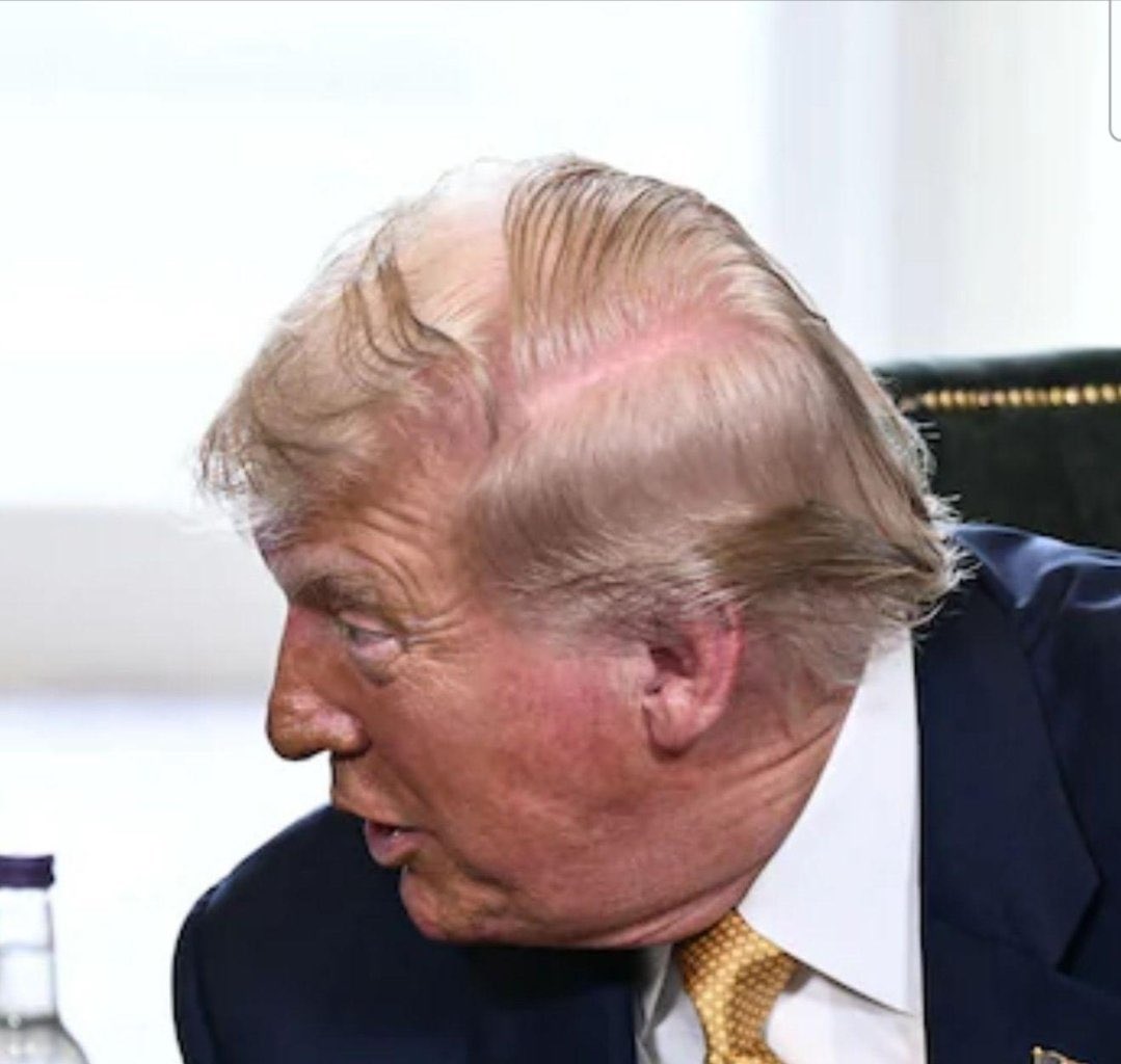 Not Your Average Liberal tweet media