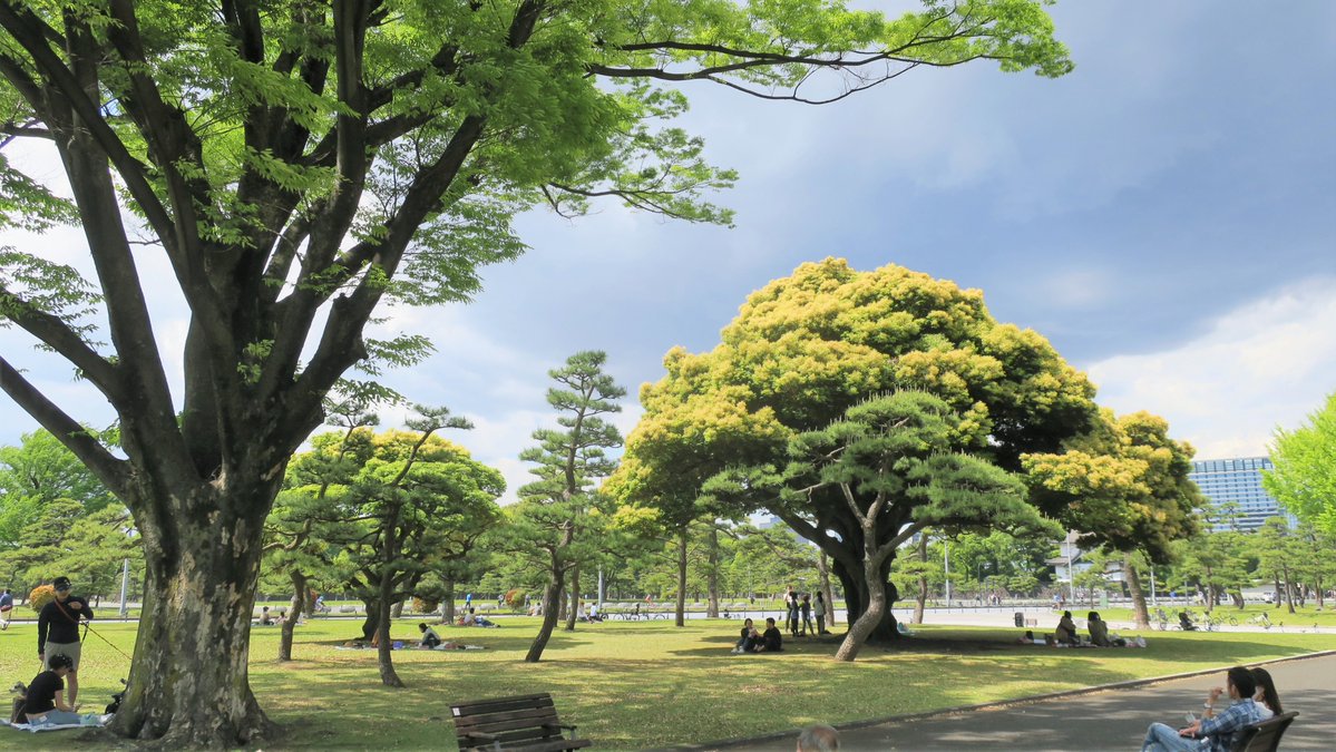 Tokyonobo's tweet image. I&apos;ve put together four of my favorite photographs taken around the Imperial Palace in Chiyoda Ward, Tokyo. #皇居　#皇居正門石橋 #皇居東御苑 #皇居外苑 #和田倉噴水公園
