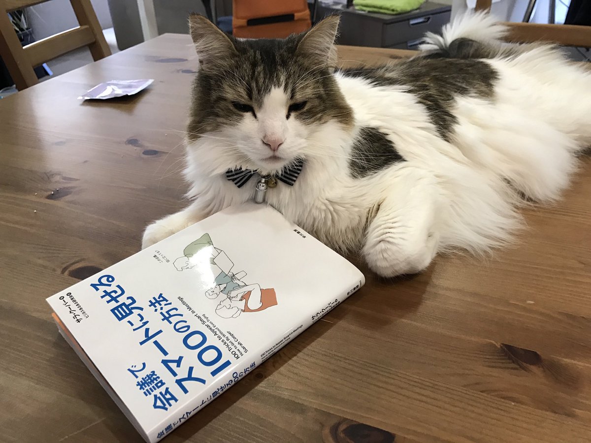 oriflamme_ikeda's tweet image. 弊社が新宿にスタジオを構えていた時の話
ネコがいたんです
開発が和やかになるんですよ