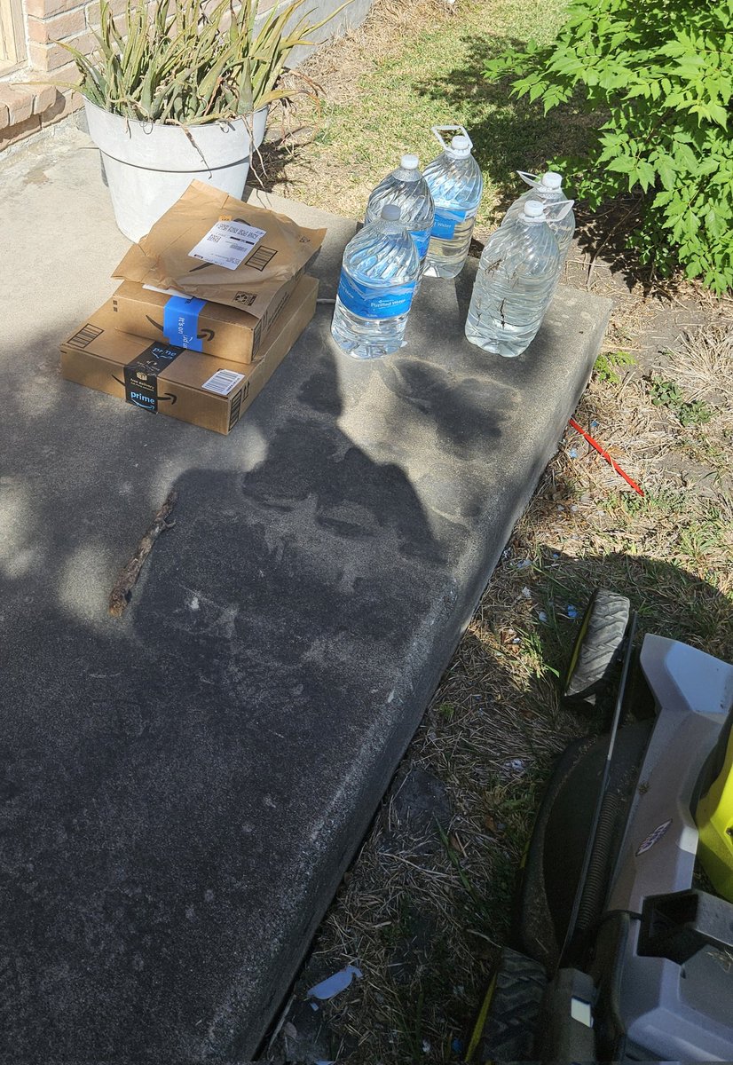mich_lee11's tweet image. I was about to mow the front yard and came upon these packages! 🤗
FYI, my fitbit always says I'm either doing outdoor or mountain biking whenever I mow! 😂