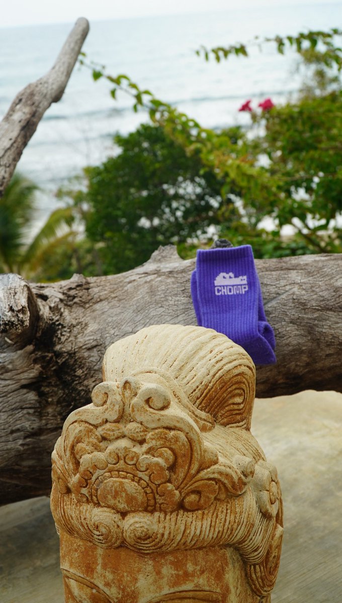 Acquired in Singapore for <a href="/SolanaConf/">Solana Breakpoint 🇦🇪 Abu Dhabi Dec 11-13</a>, lives in NY and just vaca’d in Jamaica 🇯🇲. Tryna get <a href="/chompdotgames/">CHOMP</a> around the world.