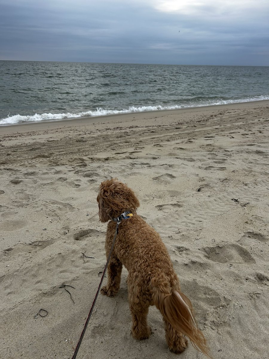 prezbread's tweet image. Truly as good as it gets