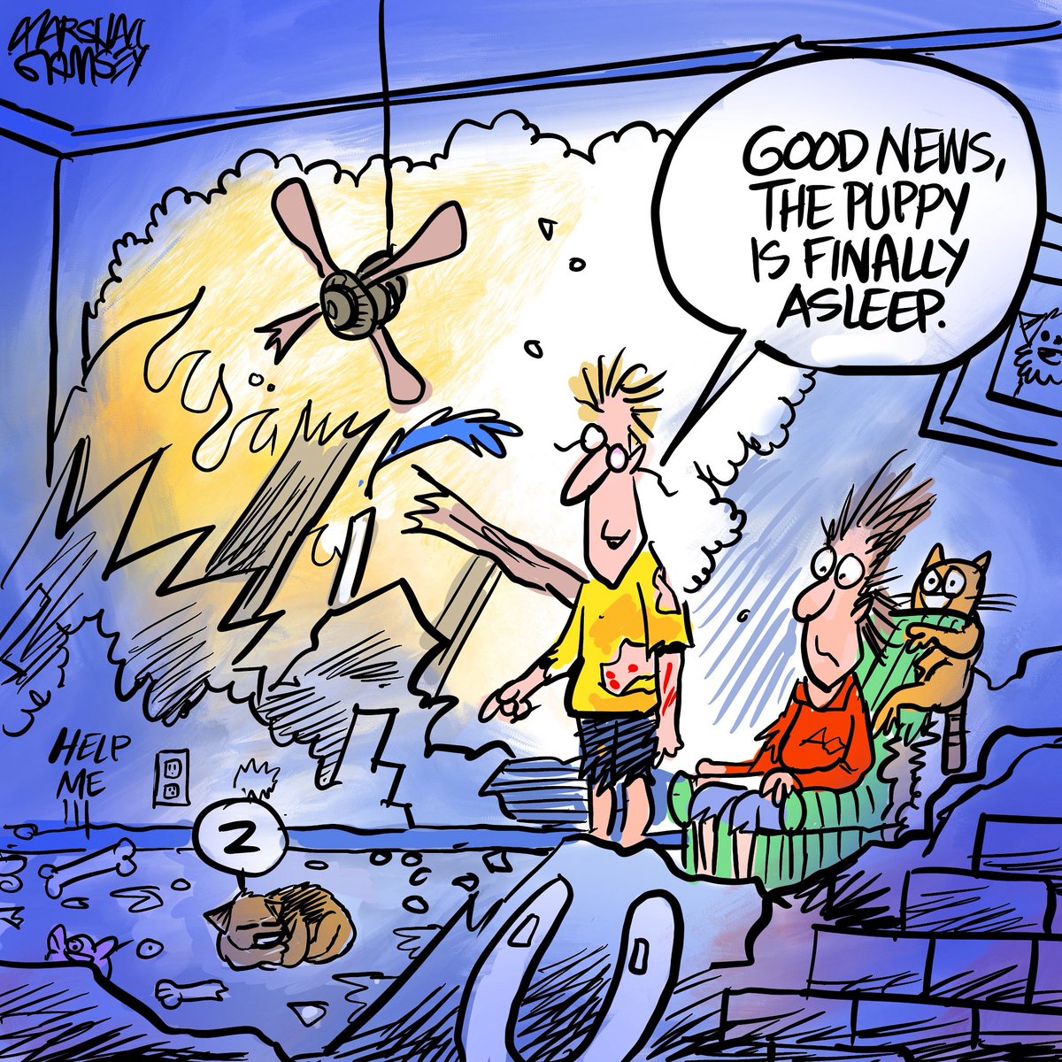 Never awaken a sleeping puppy. 

#ollie #borderterrierpuppy #puppy #cartoon #btposse #borderterrier #dog