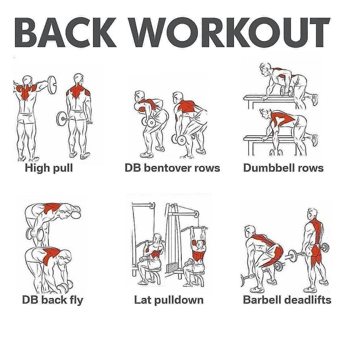 FitnessGuide0's tweet image. Back Workout(save this)
