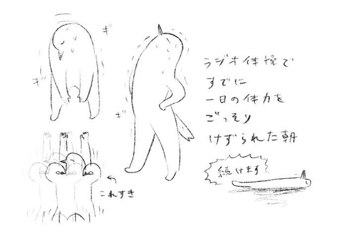ラジオ体操で一日の体力を削る朝 