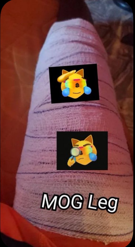 fxcknjim's tweet image. This next mog leg of the cycle is gonna be pretty frickin ridiculous