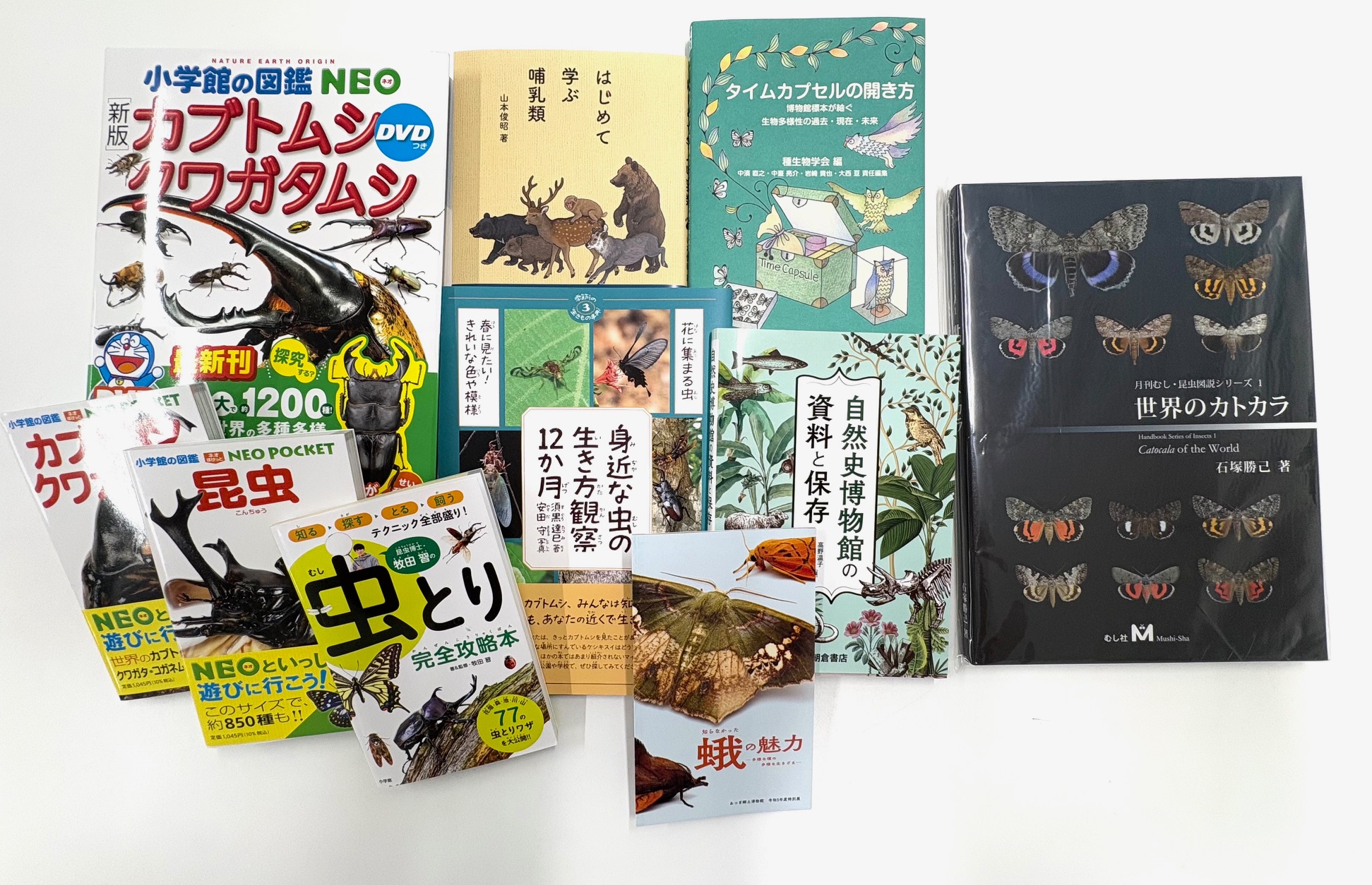 歌集◎昆虫志 49c674b42206e401dc058ec32049ea