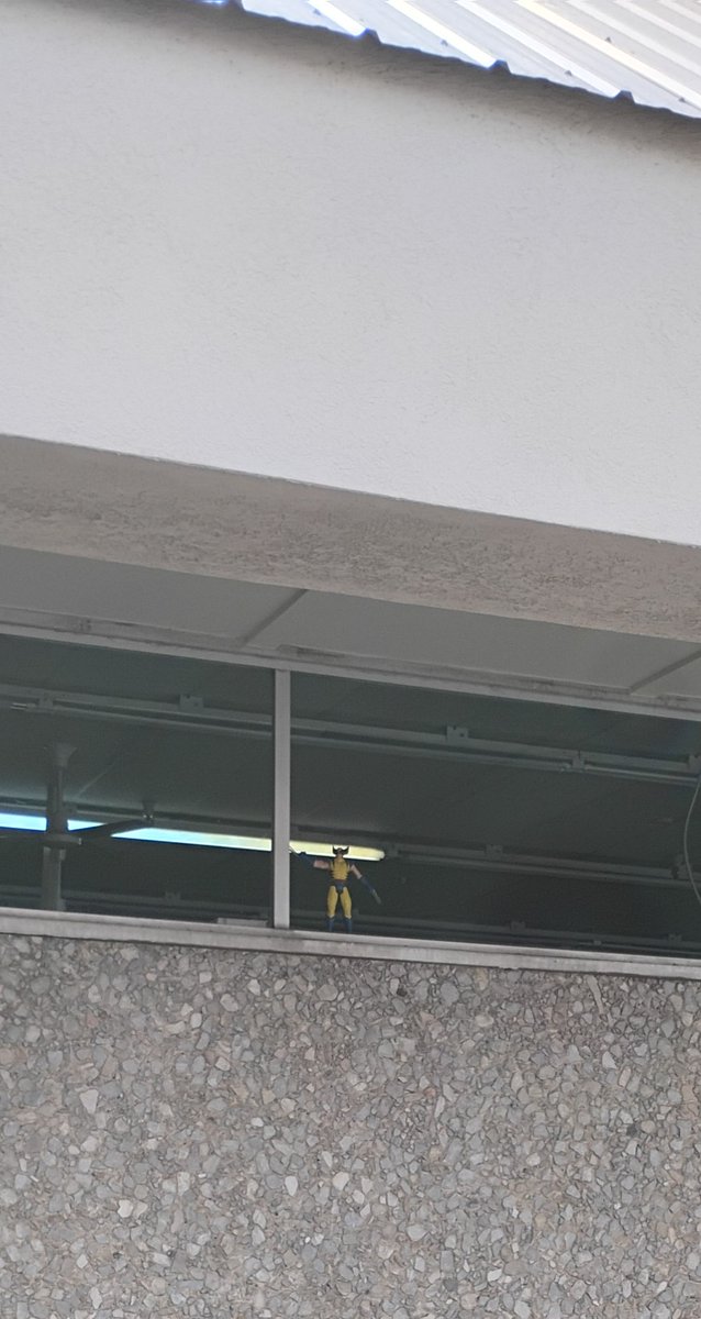 Ch33syCh3ls3a's tweet image. I can&apos;t tell if he&apos;s trying to escape or warn me of danger