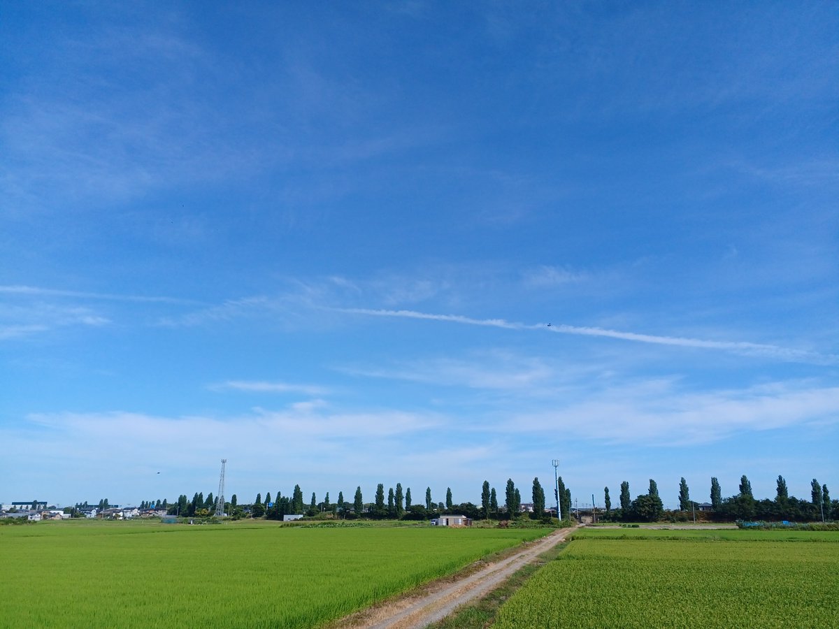 seihyo_jp's tweet image. おはようございます☀️
週が明けても変わらずジリジリとした夏空が広がっています🌻
7月も終盤、今週も元気に頑張っていきましょう💪
#企業公式相互フォロー祭り
#企業公式夏のフォロー祭り
#企業公式が毎朝地元の天気を言い合う