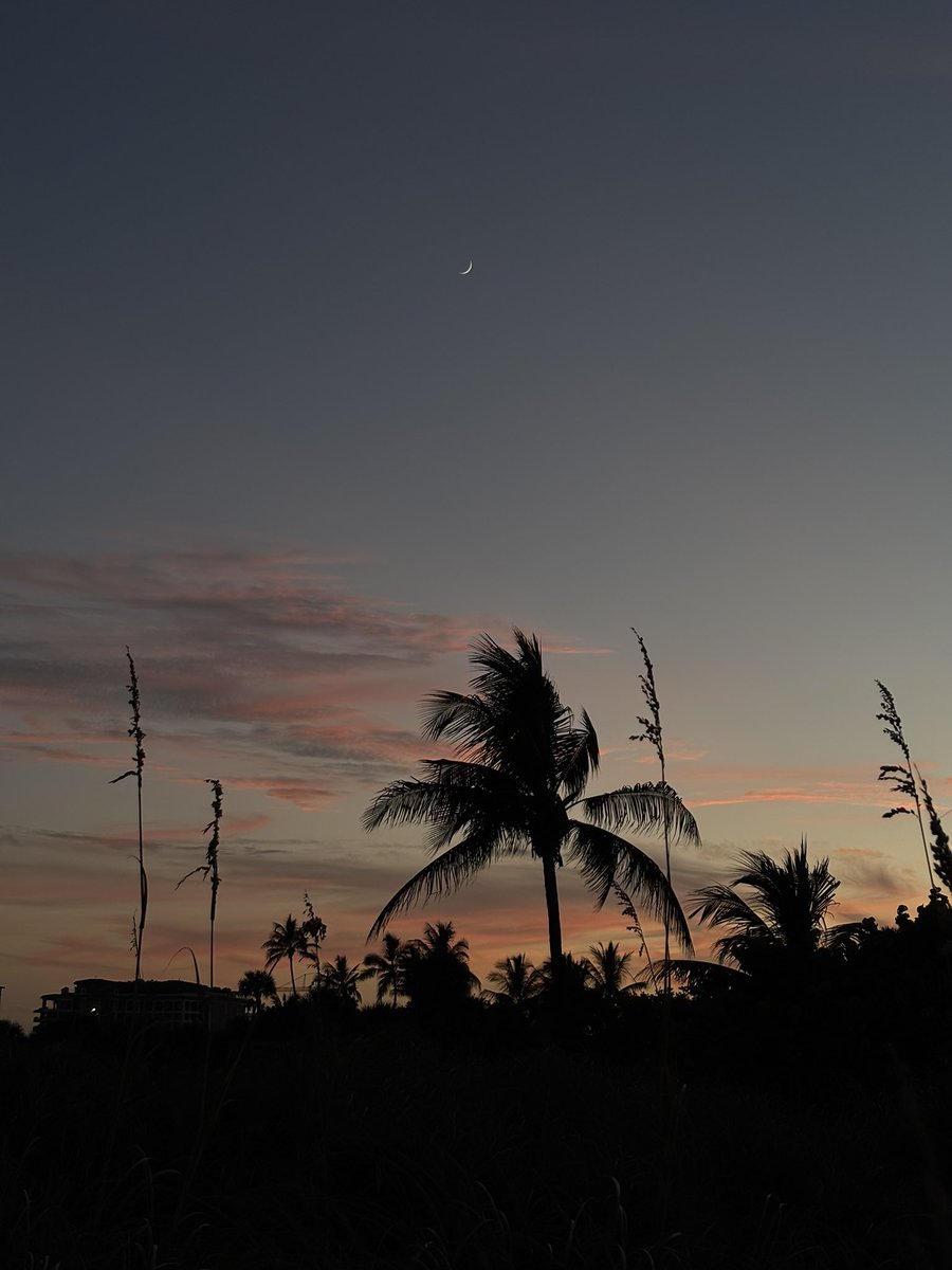ColinDoyle_'s tweet image. 🌙 in Vice City 🇺🇸