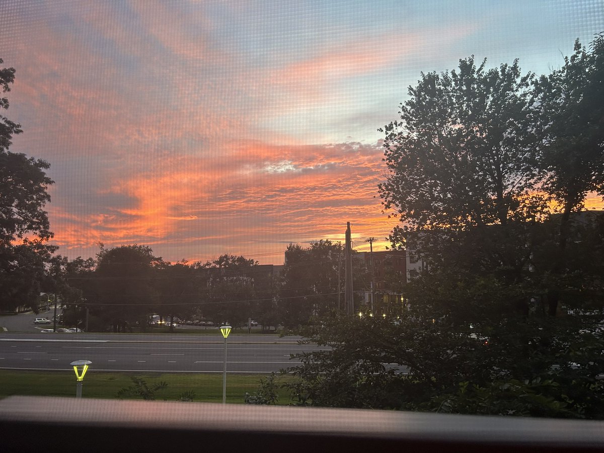 Thonky10's tweet image. Nature is so beautiful when my time comes I wish to look at this with my own eyes again