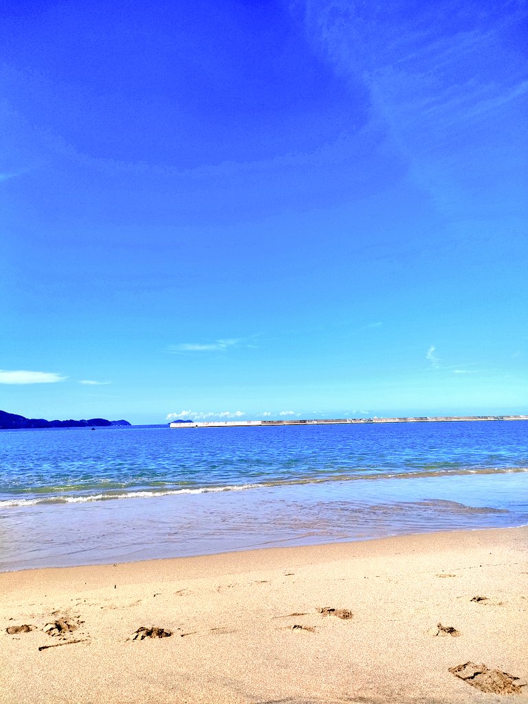 Japanese_hare's tweet image. 青と白は心が癒える。