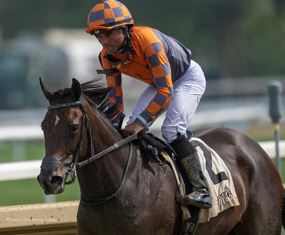 randyboyd's tweet image. A few more of our girl in action! Tennessee Belle was first out the gate, got boxed in, but finished strong and closed fast. Lots of buzz after the race! Big thanks to her entire team: @johnnyortiz24, Billy Love, @JRosarioJockey, @paulmsharp and Brittany Linton!