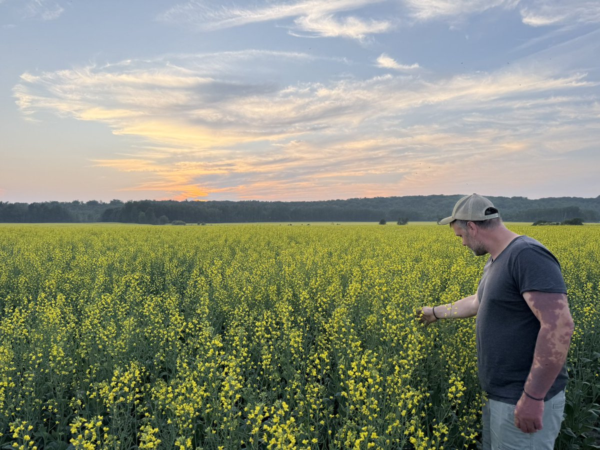 Fun crop tour in northern Ontario 🤙