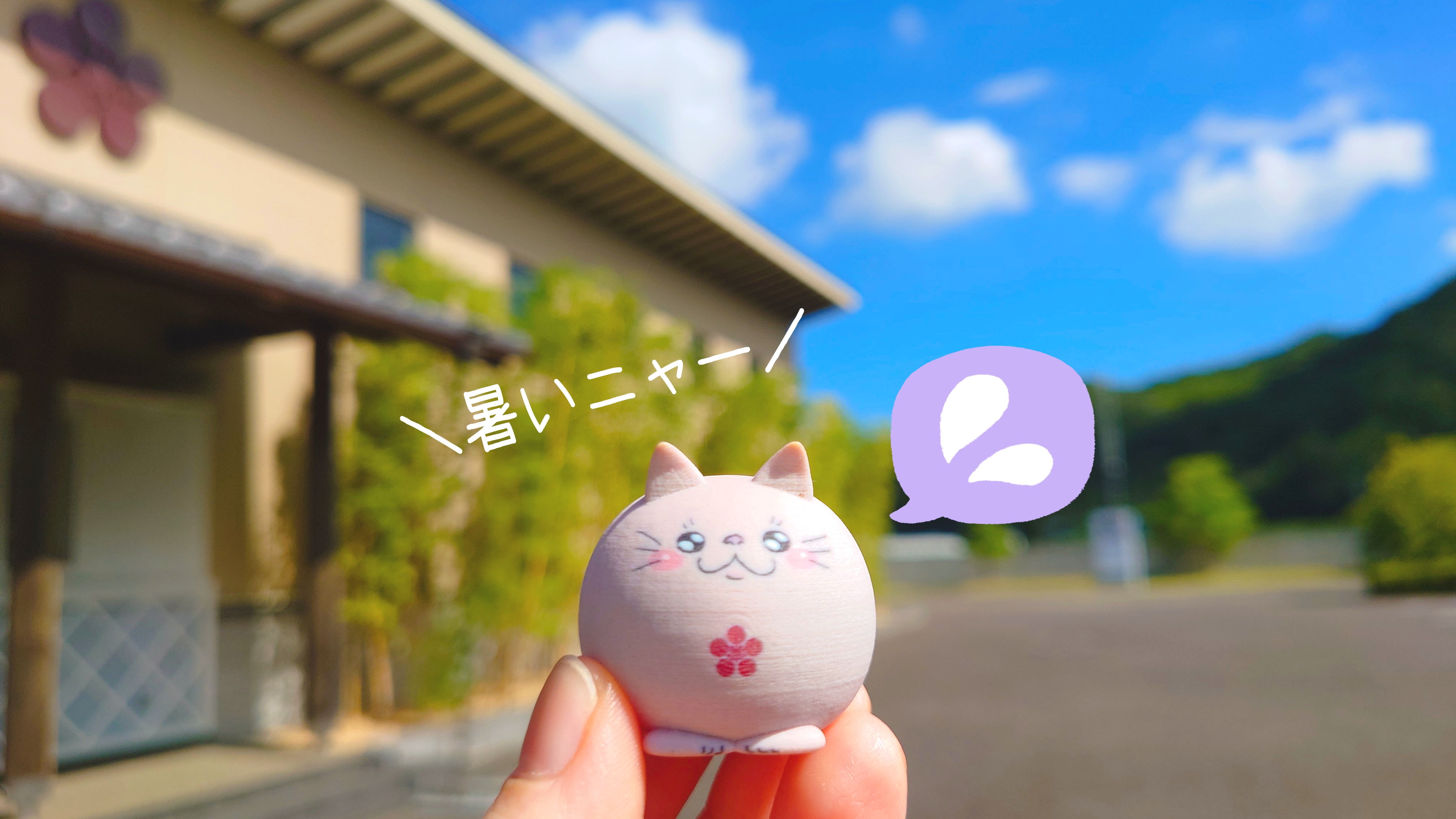 ハル　猫アイス ハルねこハルにゃん 💐🐾@ゆるふわ猫 on X: 