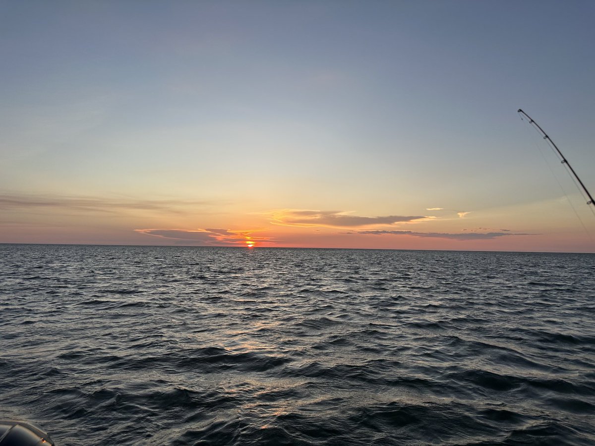 Bruskolab's tweet image. Golden hour on the water.