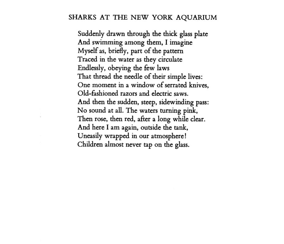 “One moment in a window of serrated knives” A poem by Charles Martin.