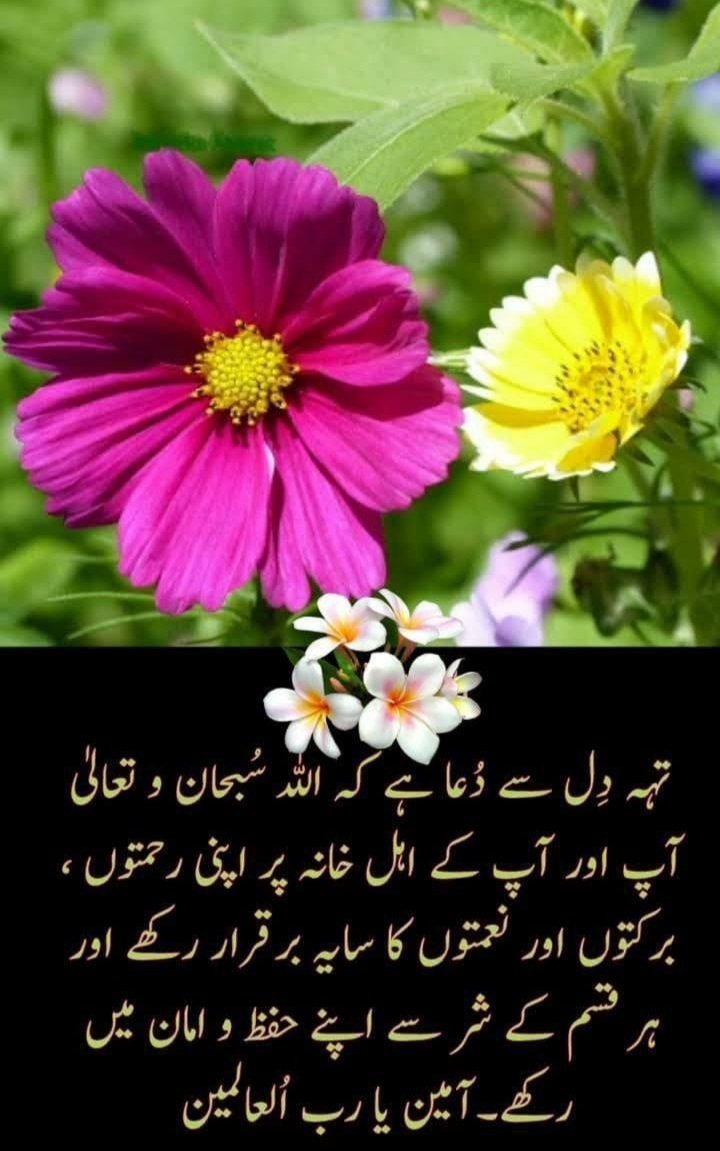 Ishaqbaig___'s tweet image. اسلام وعلیکم پیارے دوستو اور بہنوں 

صبح بخیر!

&quot;اور وہی ہے جو اپنے رحم سے پہلے ہواؤں کو خوشخبری بنا کر بھیجتا ہے۔&quot;

 سورۃ الاعراف: 57
نئی صبح اللہ کی رحمت کی نوید ہے۔
دعا ہے آج کا دن برکتوں اور آسانیوں سے بھرپور ہو 🌿