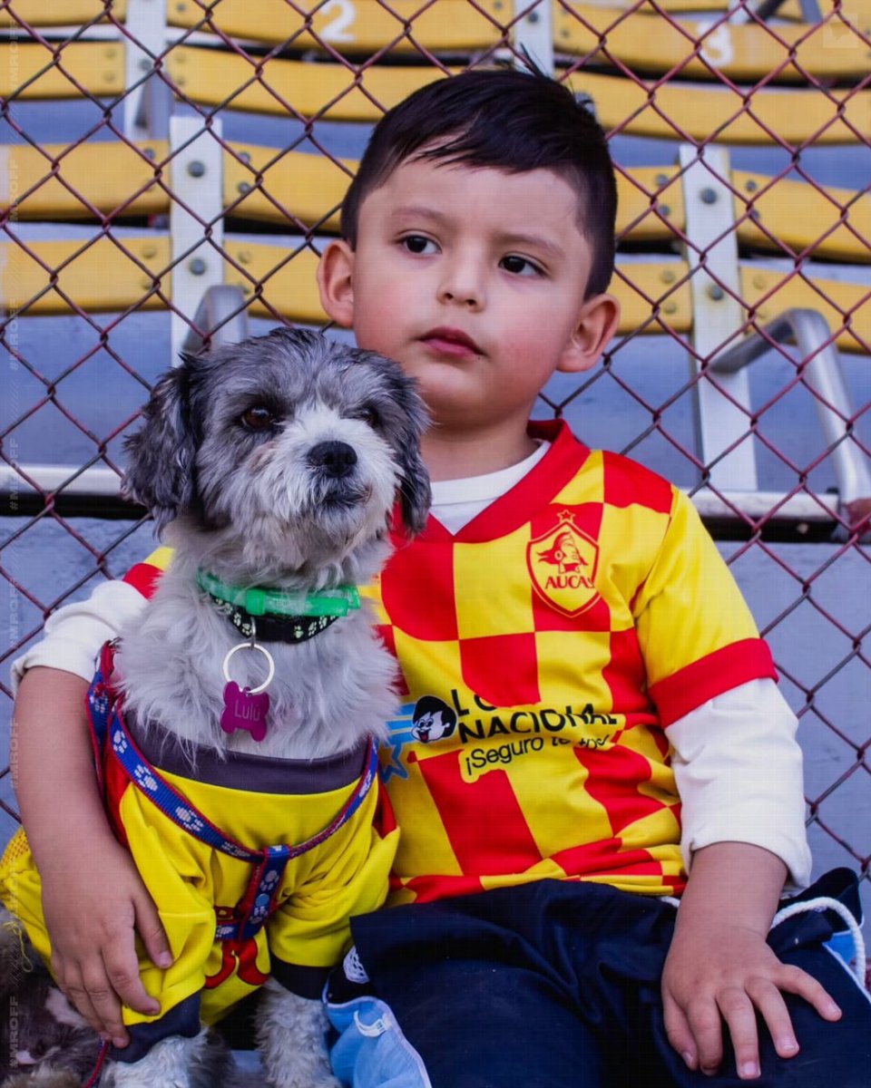 MrOFFSIDER's tweet image. Aucas es FAMILIA.