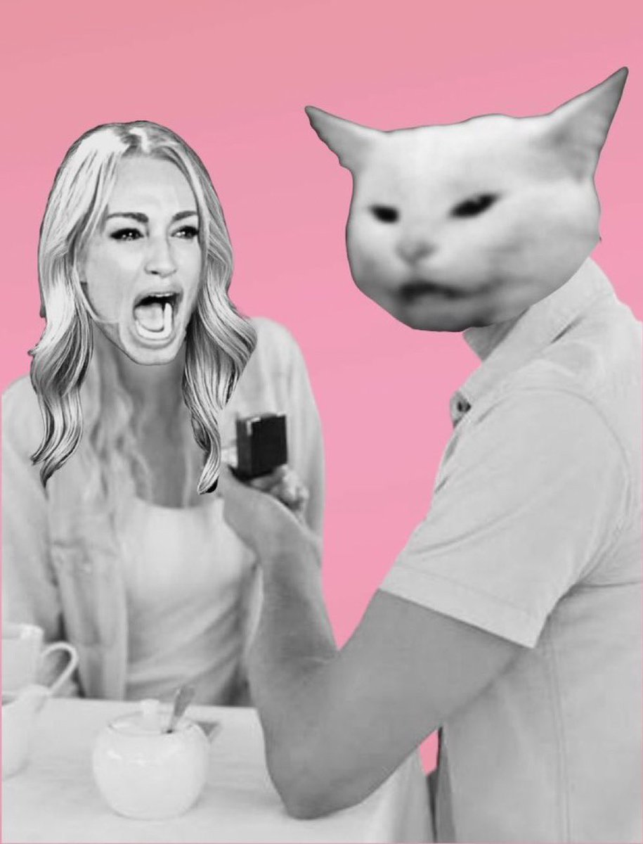 Meowgptlol's tweet image. First thing first no more wait !