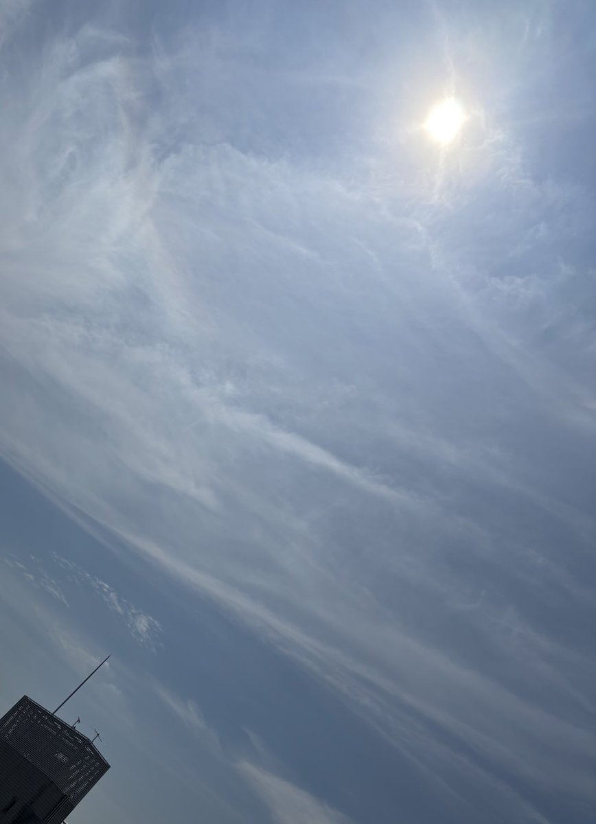 onej_sunday's tweet image. #onej

おはようございます☀
今朝の東京は晴れ☀️

とにかく暑い🥵
こまめな水分補給、お忘れなく！

素敵な一週間をお過ごしください✨