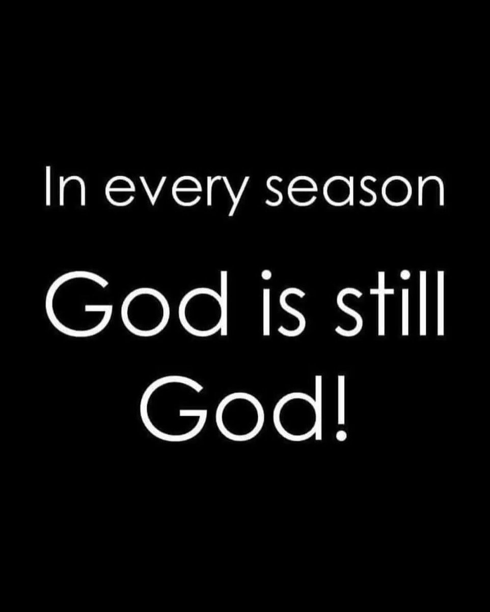 ladyg2021's tweet image. 